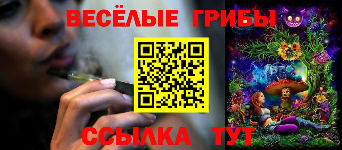 Котлас  Галлюциногенные грибы MAGIC MUSHROOMS  Псилоцибиновые грибы Psilocybine cubensis  Вход с VPN 